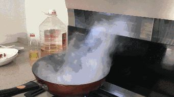 森歌集成灶萬人廠購節(jié),好產(chǎn)品經(jīng)得起體驗