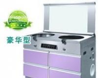 大量1下排氣集成環(huán)保灶[供應(yīng)]_世界工廠網(wǎng)中國(guó)產(chǎn)品信息庫(kù)